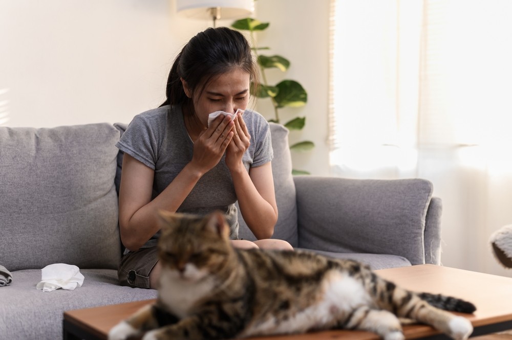 young,asian,woman,sneezing,which,suffering,from,first,symptoms,of